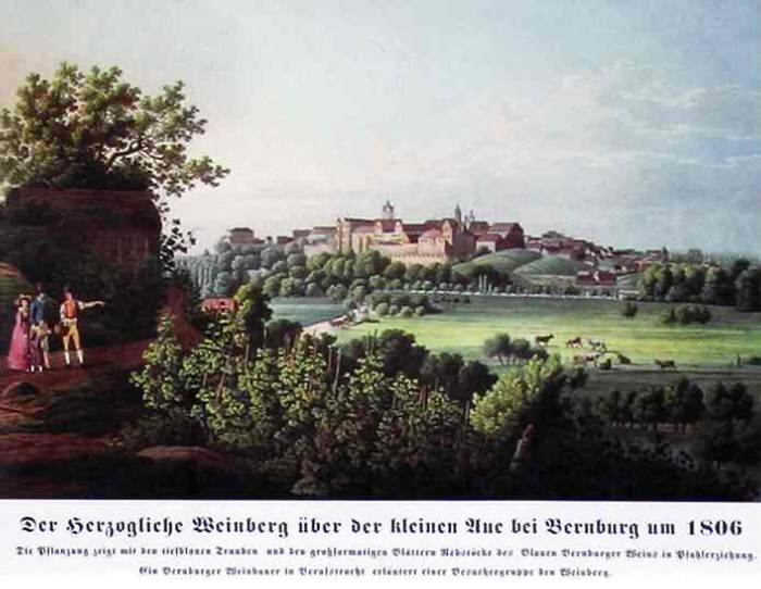 Weinberg Bernburg um 1806
